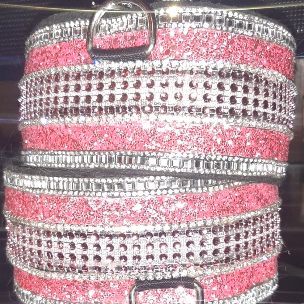 Rhinestone Bling Light Up Dog Collar